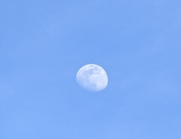 PXL_20260129_165256982.RAW-01.COVER